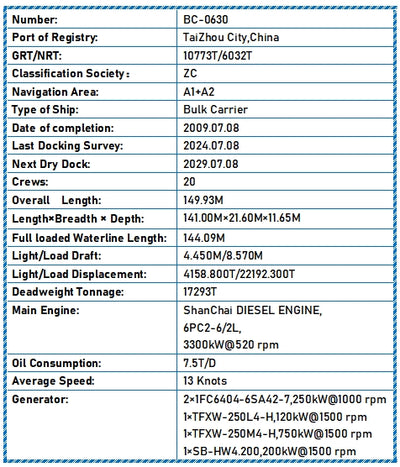 2009 Built 17300 DWT Bulk Carrier For Sale