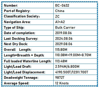 2019 Built 9900 DWT Bulk Carrier For Sale