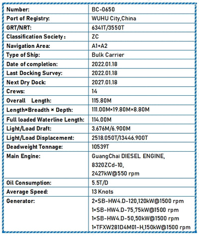 2022 Built 10500 DWT Bulk Carrier For Sale