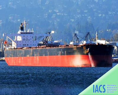2003 Built 180000 DWT Bulk Carrier For Sale