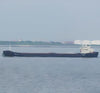 2020 Built 7600 DWT Bulk Carrier For Sale