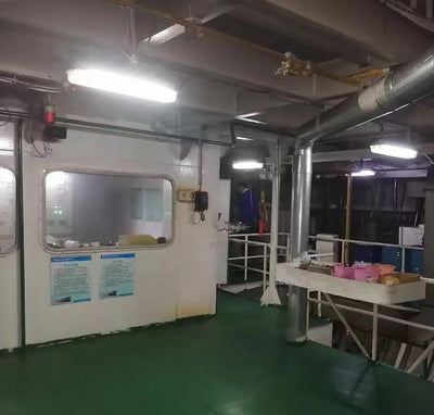 2020 Built 7200 DWT Bulk Carrier For Sale