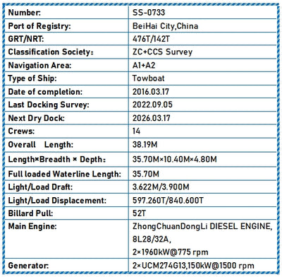 2016 Built Towboat For Sale