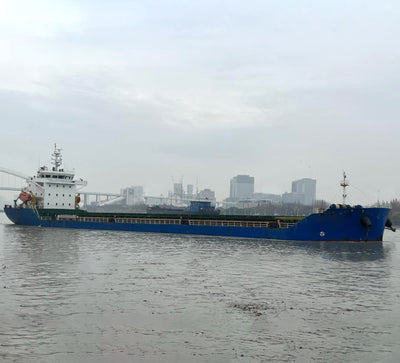 2022 Built 12000 DWT Bulk Carrier For Sale