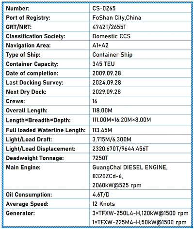 2009 Built 7300 DWT 346 TEU Container Ship For Sale
