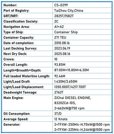2010 Built 2700 DWT 271 TEU Container Ship For Sale