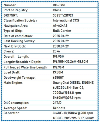 2025 Built 63500 DWT Bulk Carrier for sale