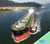 2023 Built 81000 DWT Bulk Carrier For Sale