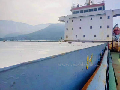 2009 Built 13000 DWT Cargo Ship For Sale