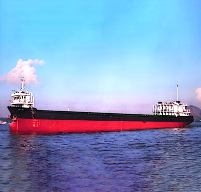 2010 Built 3000 DWT 200 TEU Container Ship For Sale