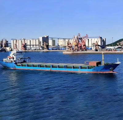 2005 Built 6300 DWT 453 TEU Container Ship For Sale