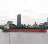 2022 Built 14000 DWT Bulk Carrier For Sale