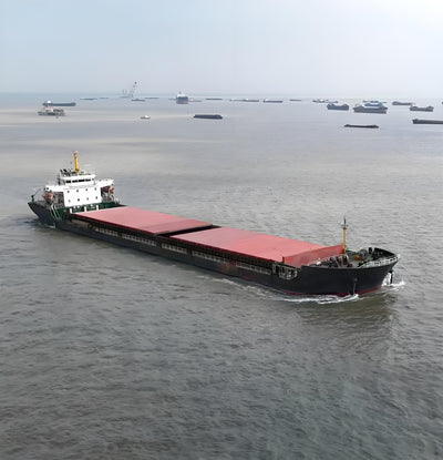 2021 Built 17000 DWT Bulk Carrier For Sale