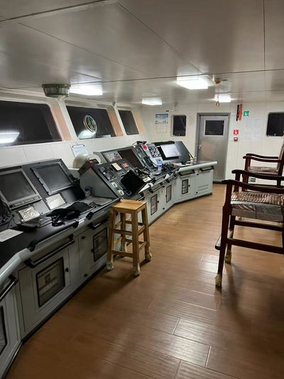 2016 Built 6700 DWT 400 TEU Container Ship For Sale