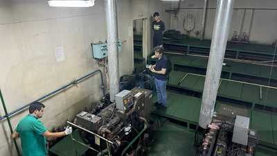 2020 Built 10000 DWT Landing Craft Tank For Sale