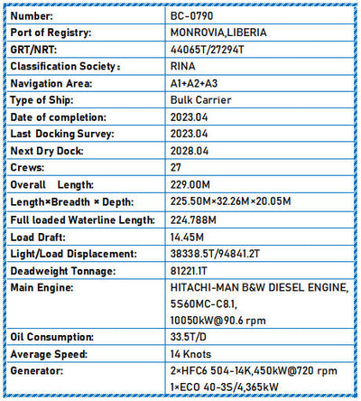 2023 Built 81000 DWT Bulk Carrier For Sale