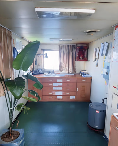 2012 Built 8800 DWT 426 TEU Container Ship For Sale