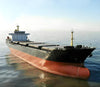 2013 Built 27000 DWT Bulk Carrier For Sale