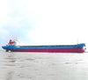 2019 Built 9800 DWT Bulk Carrier For Sale